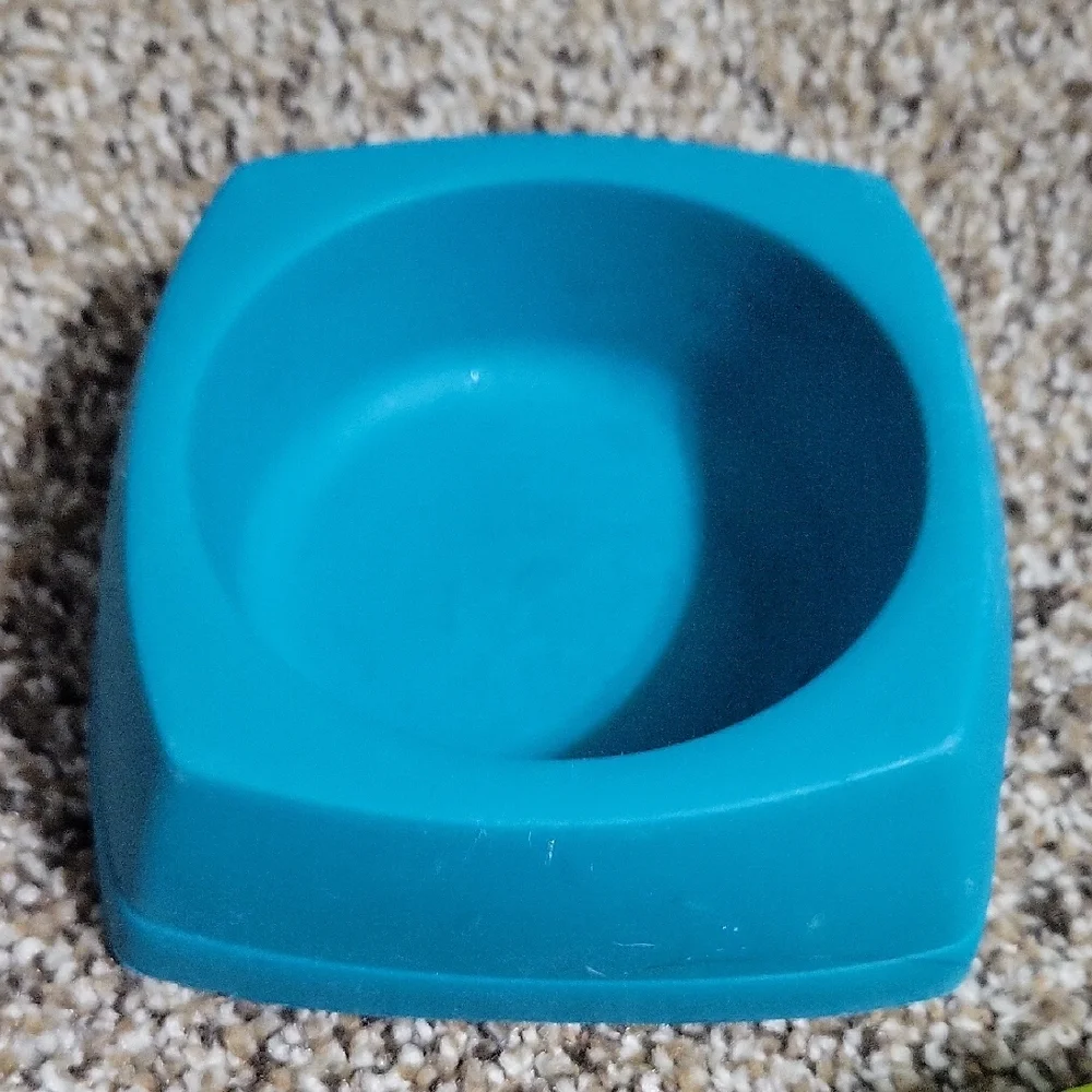 Colorful Pet Bowls Set